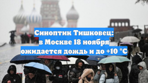 Синоптик Тишковец: в Москве 18 ноября ожидается дождь и до +10 °C