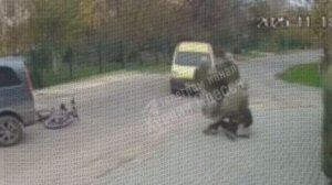 автоподстава от свиней из тцк