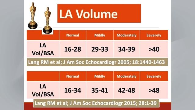 Recommendations for Cardiac Chamber Quantification by Echocardiography in Adults на русском