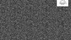 Конец вещания телеканала Пингвин Тв Начало вещания телеканала Дача НD