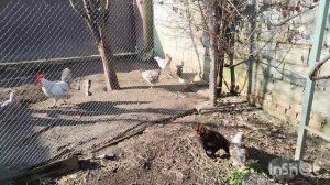 17.11.25г. + 21 тепла, осенняя Южная сказка!