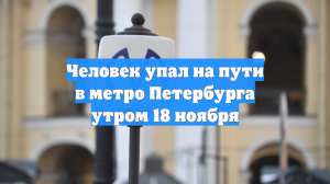 Человек упал на пути в метро Петербурга утром 18 ноября