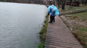 Поимка основной водоём, актив блесна