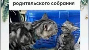Анекдоты, юмор, статусы, приколы 😁