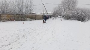 1.  выражено/пож ХАЙЛИГЕНЛАНД ВАЛЬДО (Xico v. Larchenhain – De Orse Mak Flai Zigerin)