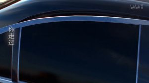 Wei Miao Rensheng: Opening