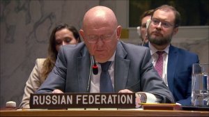 Statement by Vassily Nebenzia at UNSC Open Debate on Conflict-Related Food Insecurity