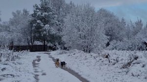 Про необычный день объединивший три времени года