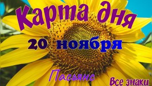 Карта дня 🍁20 ноября 2025🌾🌞Пасьянс.Тайм-код в описании🦢