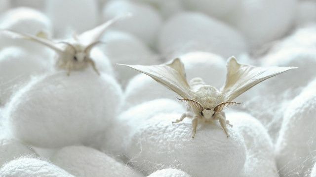 Красивые места земли, хорошая песня