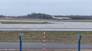 Редкая птичка.