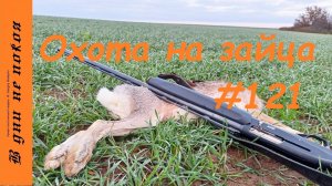 Охота на зайца. Выпуск № 121 18+