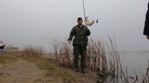 Рыбалка возле дома Самое вкусное блюдо из сома