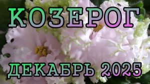 КОЗЕРОГ таро прогноз на ДЕКАБРЬ 2025 года.
