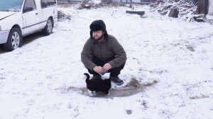 Морозы ушли у нас в Сибири Кормлю домашних животных которые приносят радость