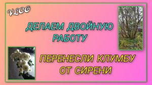 🍒 Пересаживаем с места на место, делаем двойную работу/ Перенесли клумбу от сирени в другое место