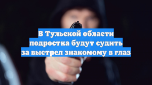 В Тульской области подростка будут судить за выстрел знакомому в глаз