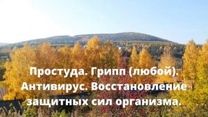 Простуда. Грипп (любой). Антивирус. Восстановление защитных сил организма*Частоты Райфа