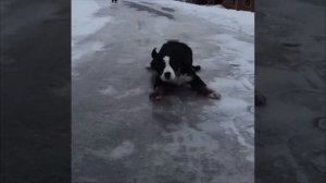 🧊Москва завтра превратится в каток🧊