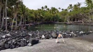 Любимой     Клип