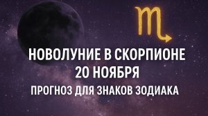 Новолуние в скорпионе 20 ноября - всё пойдёт не по плану. Прогноз для знаков зодиака