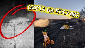 Без права на ошибку: охота на косулю с карабином