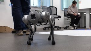 В Петрозаводске прошел фестиваль Science Party