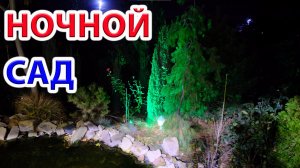 Ночной сад Почти Тропики