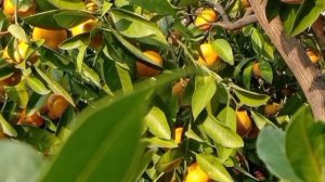 МНЕ НРАВЯТСЯ ЛЮДИ