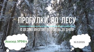 Прогулки по лесу День за днем с дедом Многоведом 15 ноября 2025г Эпизод 964