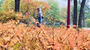 Белгород Парк Ленина осень 2025