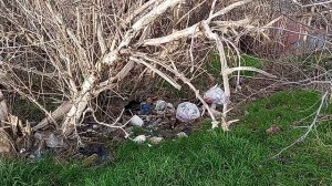 Ставрополь. Мусорная свалка на ул. Азовской, на склоне в гаражном кооперативе! Хрюкать не забыли?