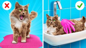 🐱 Спасение бездомного котёнка 😍 Строим домик своими руками | Ла-Ла Лайф