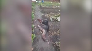 (Рыбинск-40) РАСПРАВА СРЕДЬ БЕЛА ДНЯ