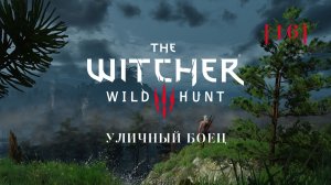 Ведьмак 3: Дикая охота | 16 | Уличный боец