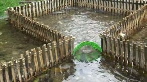 Ловушка для рыбы на ручье, #рыбалка