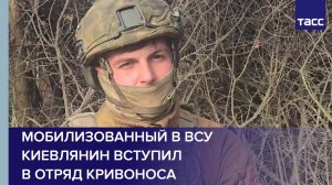 Мобилизованный в ВСУ киевлянин вступил в отряд Кривоноса