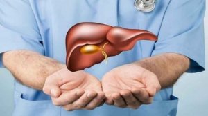 Принесет ли здоровье человеку пересадка чужого органа?