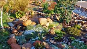 Ноябрь 18.11.2025 г.-холодно🥶❄️Забежала на дачу #дачныезарисовки