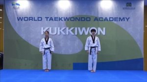 Базовые движения Тхэквондо