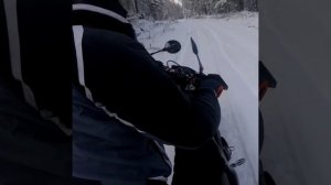 Приключения в Сибирской тайге