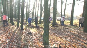 На территории Красногвардейского муниципального округа продолжаются экологические субботники