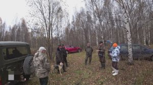 Русская гончая Побудка (Стрелка)(3,5 года). 14-е межрегиональные состязания Мемориал Р.И. Шияна 2025