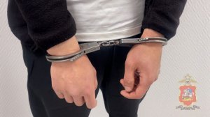 Подмосковные полицейские задержали троих грабителей, похитивших 15 млн рублей у иностранцев
