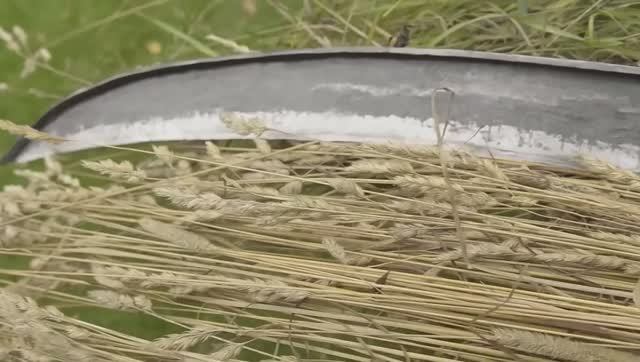 Кузнечное дело. Изготовление косы смотреть онлайн