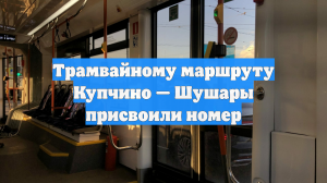 Трамвайному маршруту Купчино — Шушары присвоили номер