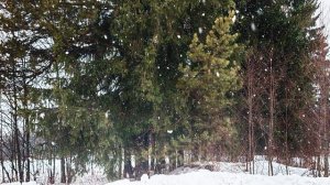 Релакс музыка. Спокойная, успокаивающая музыка для сна Ecveezer - Tenderness and Love (New Version)