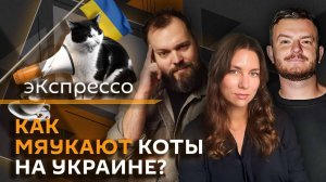 эКспрессо. Дерусификация котов, мужчины в "женских" профессиях и тренд на "дуркинг"