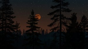 🌙🌲 Атмосфера сумеречного леса и стрекотание сверчков | Атмосфера ASMR для сна, учёбы и спокойствия