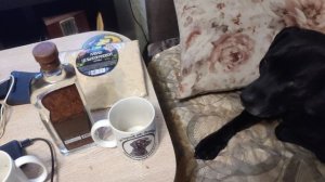 Музей Псов @ Владимир Владимирович @ Турбин @ Моя Жизнь Кино 🐕 @ Музей Псов